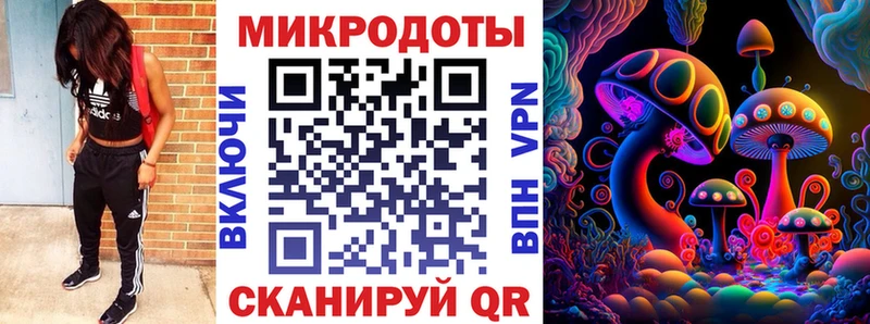 Купить закладки  Цивильск  Псилоцибиновые грибы GOLDEN TEACHER 